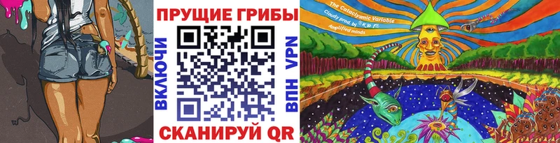 Купить где  Георгиевск  Галлюциногенные грибы мицелий 
